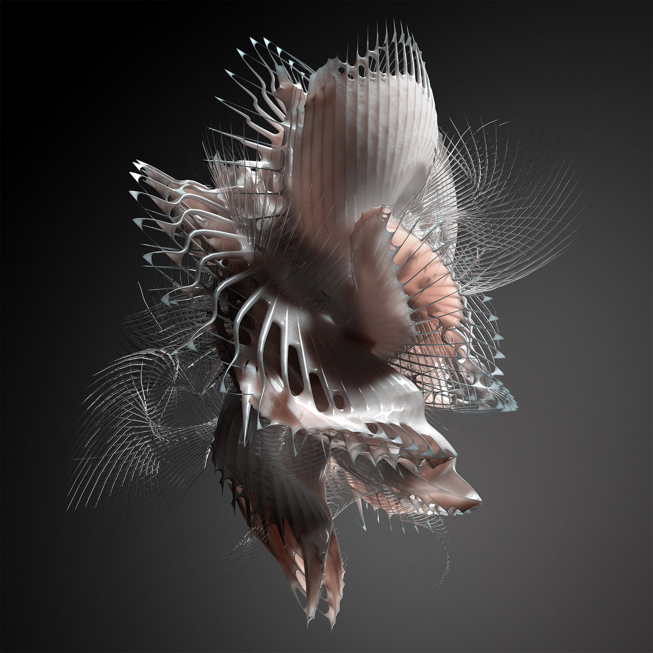 HBT020 - Echonomist - Dominator